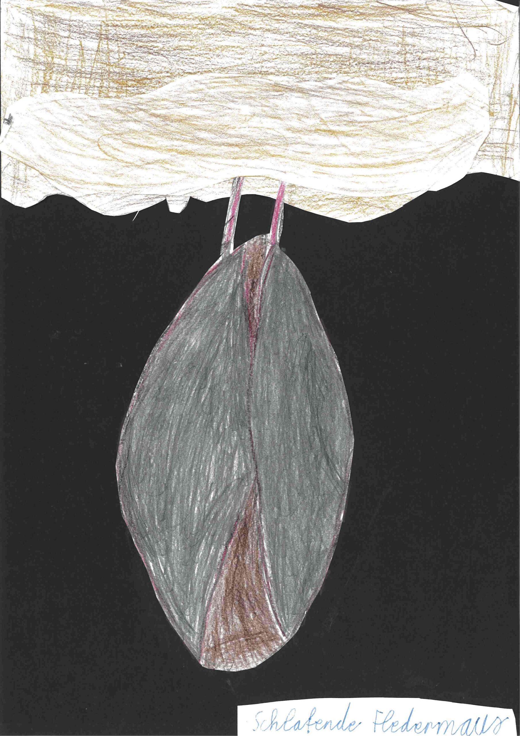 Fledermaus