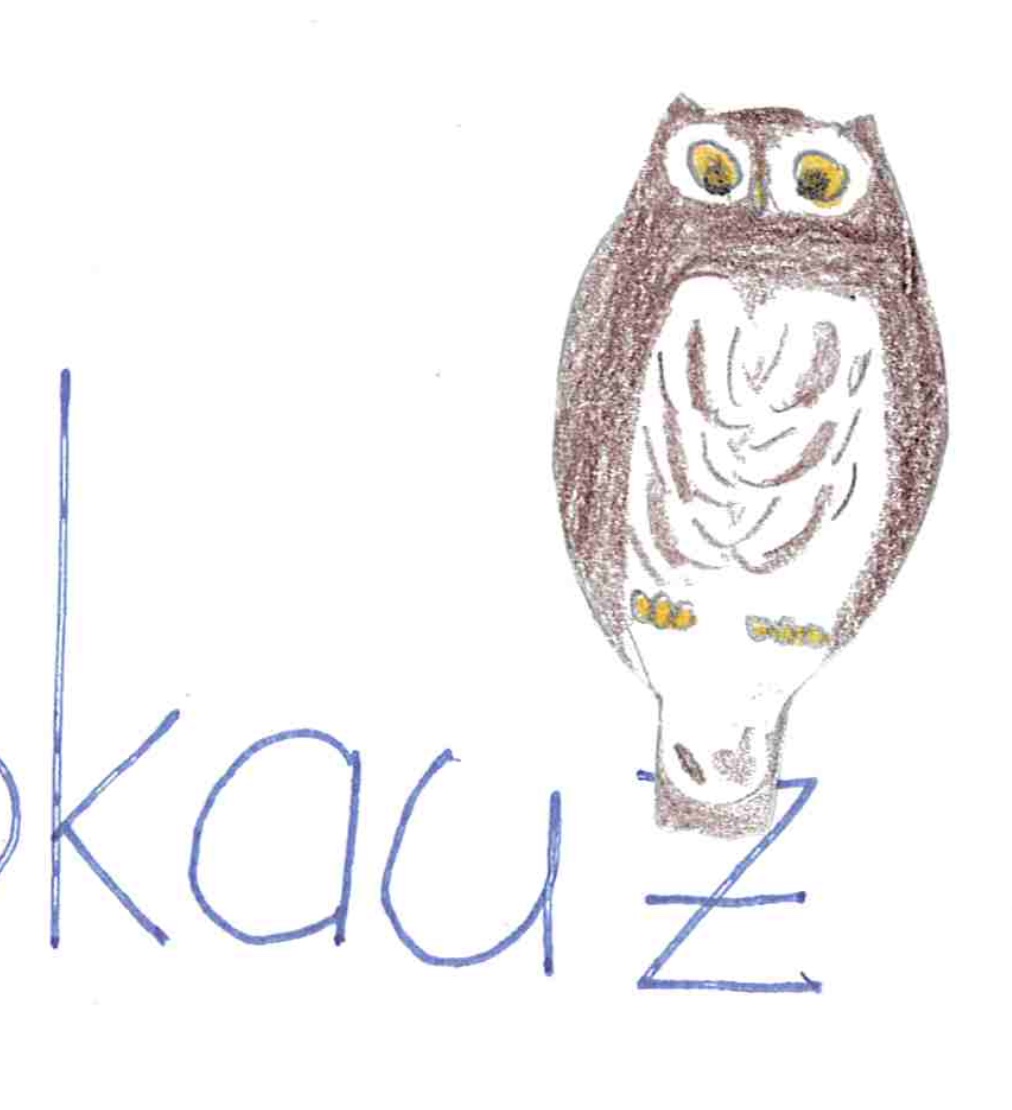 Sperlingskauz