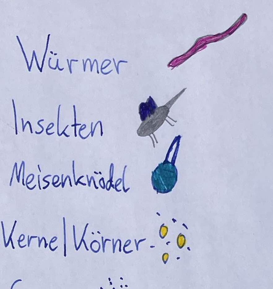 Speiseplan für Vögel
